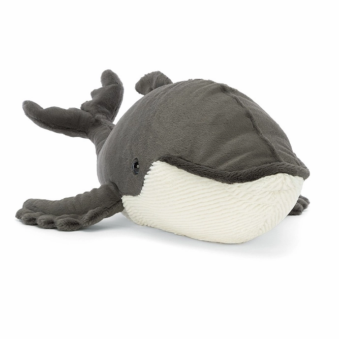 Humphrey the Humpback whale