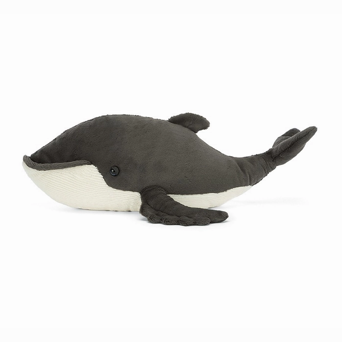 Humphrey the Humpback whale