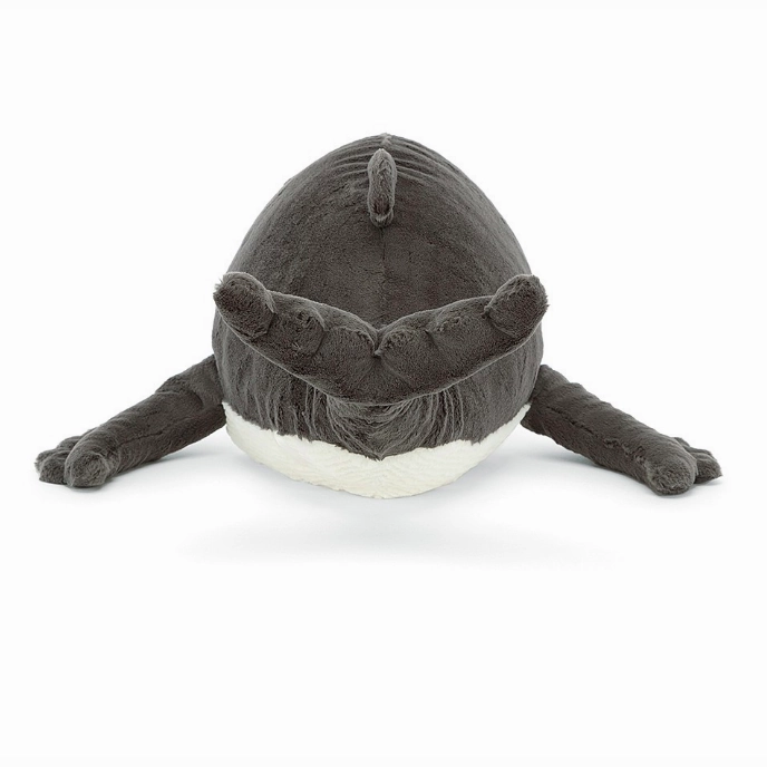 Humphrey the Humpback whale