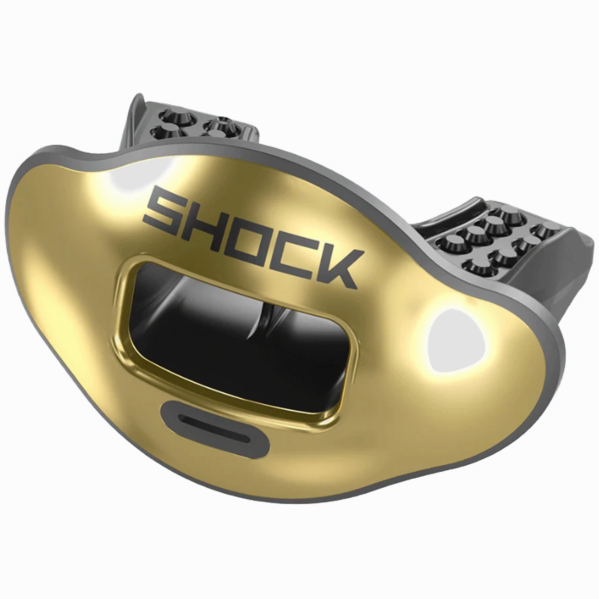 Max AirFlow Lip Guard Chrome