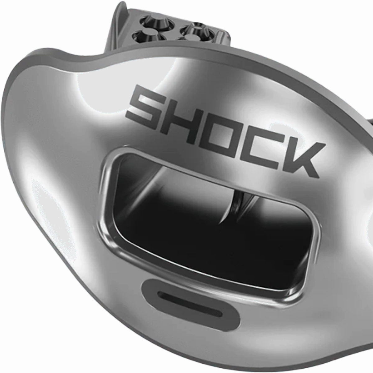 Max AirFlow Lip Guard Chrome