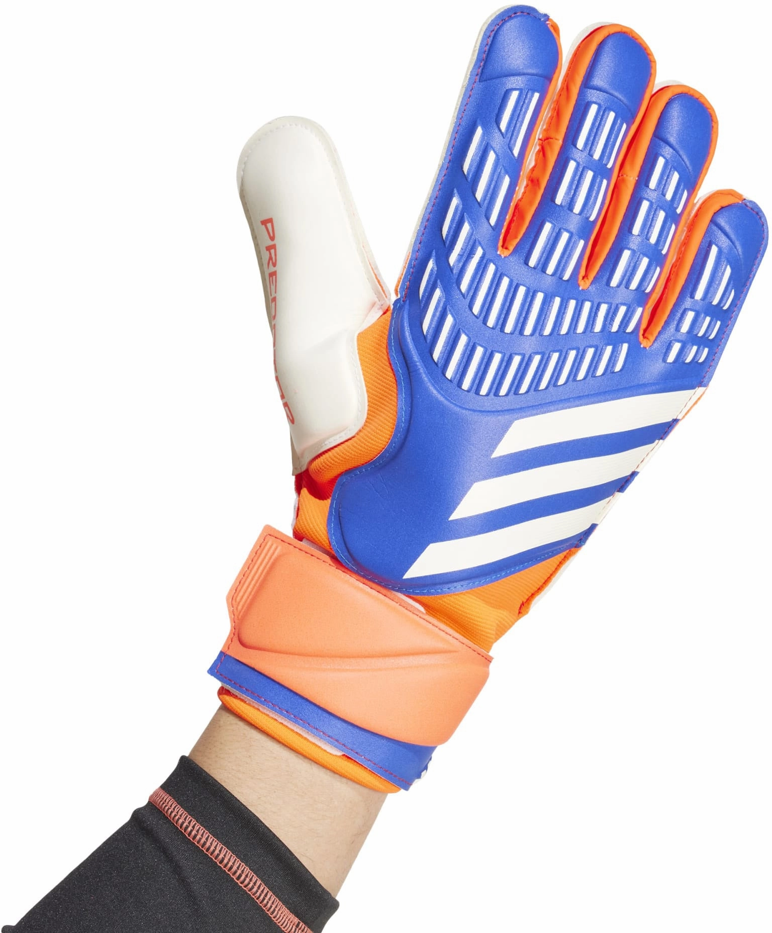Predator Match Goalkeeper Gloves