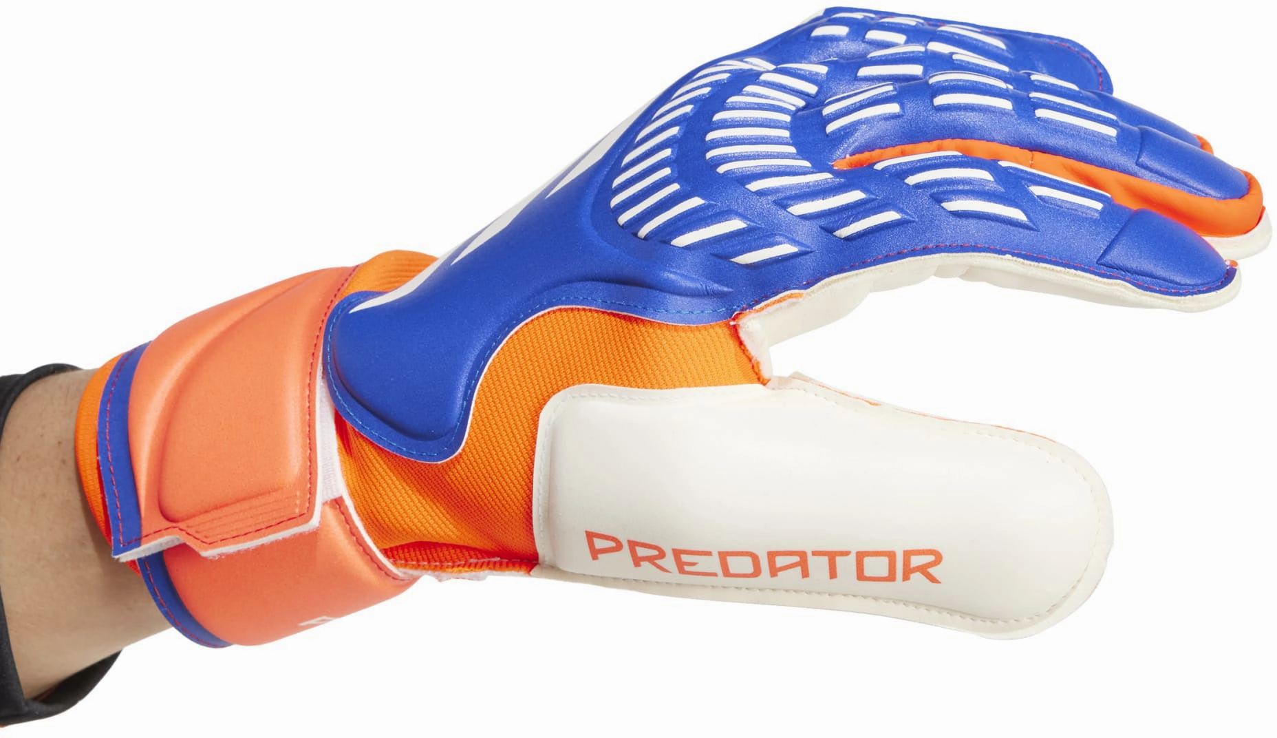Predator Match Goalkeeper Gloves