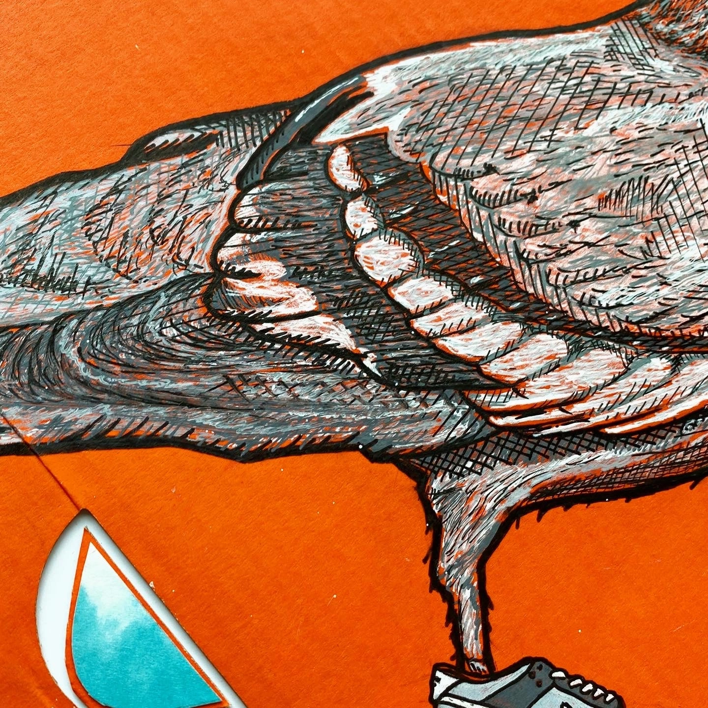 Staple Pigeon