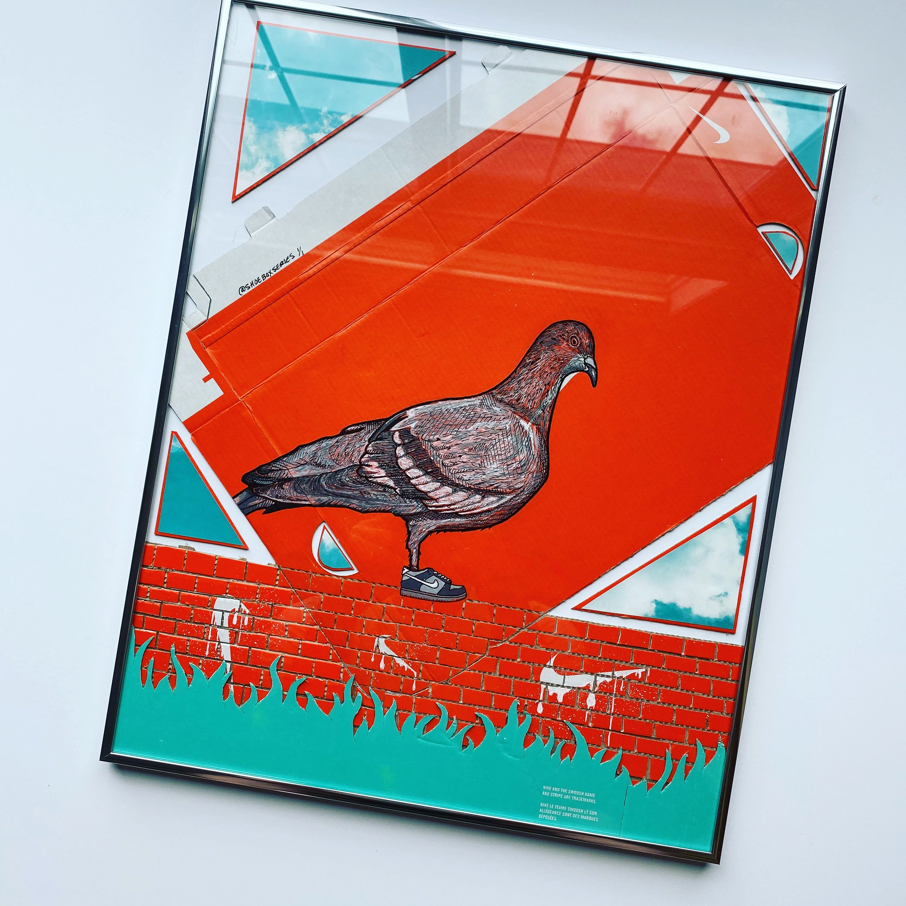 Staple Pigeon